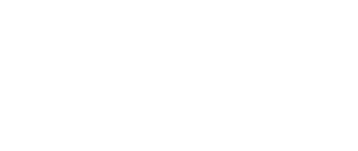 67581639ec0f49f435631200_networkoptix (1)